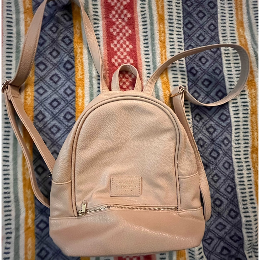 Divided backback/purse